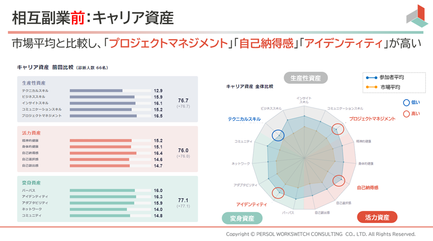 相互副業前：キャリア資産